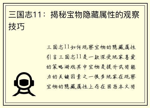 三国志11：揭秘宝物隐藏属性的观察技巧